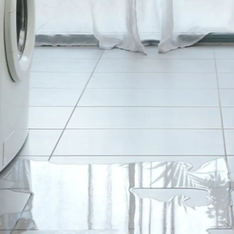 Appliance Leak Cleanup in Venice Gardens, FL