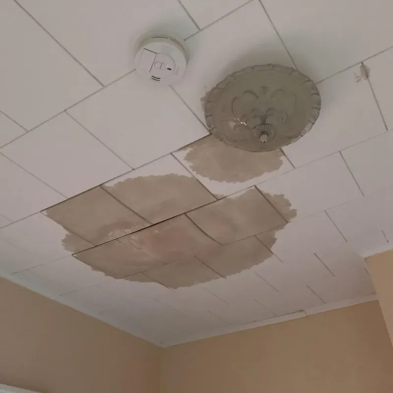 Ceiling Water Damage Repair in Venice Gardens, FL